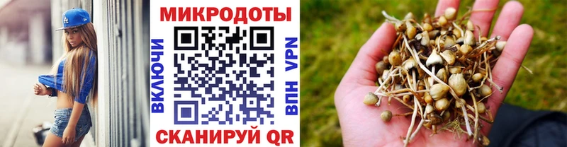 Галлюциногенные грибы Psilocybine cubensis  Зеленогорск 